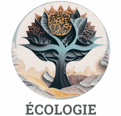 Modes-Ã‰cologie